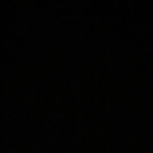 Meet your Posher, Adriana